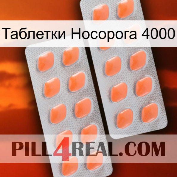 Таблетки Носорога 4000 27.jpg